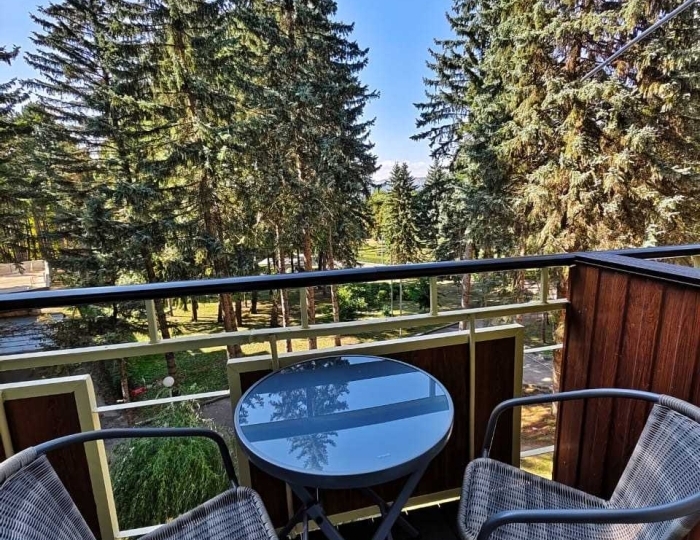 2-местное 2-комн. люкс комфорт, корп. 1 - Санаторий «Пикет» Кисловодск