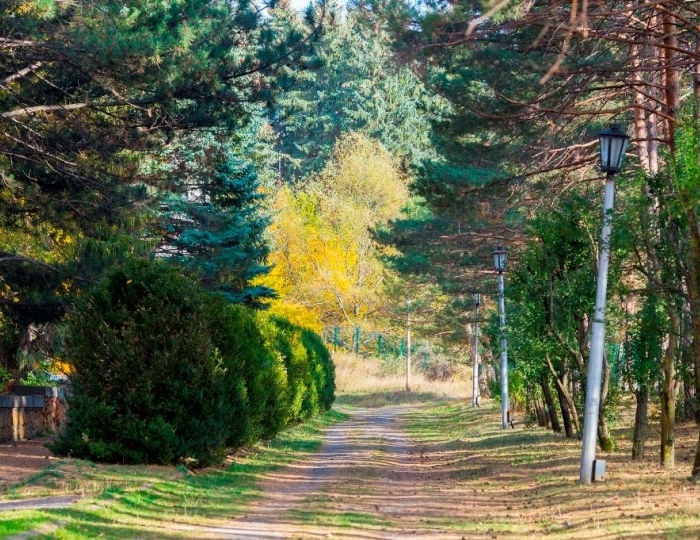 Терренкур - Санаторий «Пикет» Кисловодск
